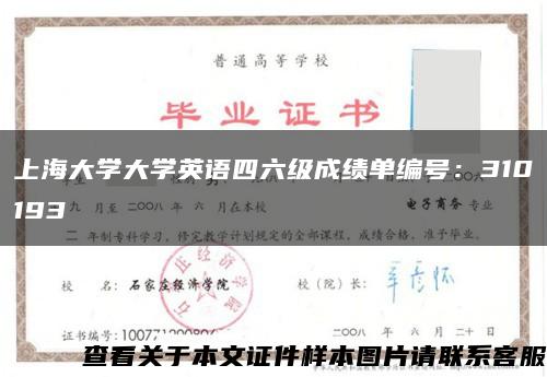 上海大学大学英语四六级成绩单编号：310193缩略图