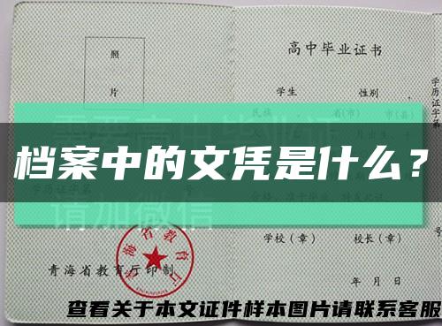 档案中的文凭是什么？缩略图