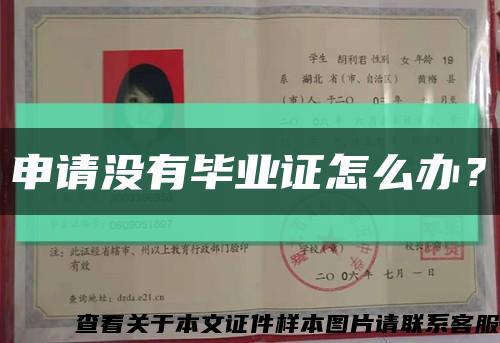 申请没有毕业证怎么办？缩略图