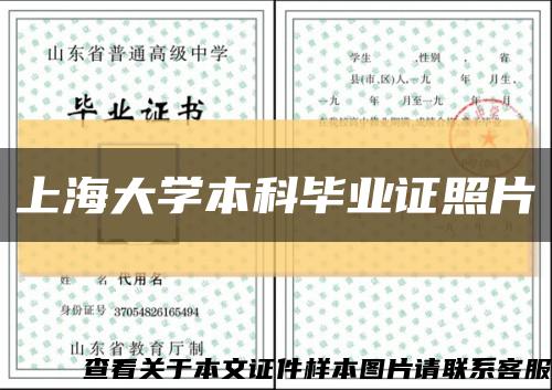 上海大学本科毕业证照片缩略图