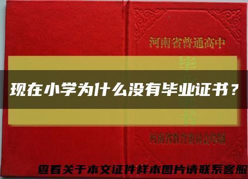 现在小学为什么没有毕业证书？缩略图