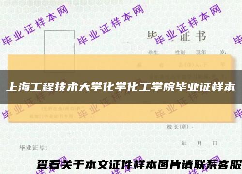上海工程技术大学化学化工学院毕业证样本缩略图