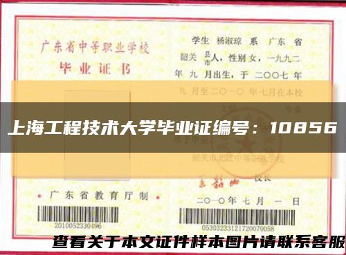 上海工程技术大学毕业证编号：10856缩略图