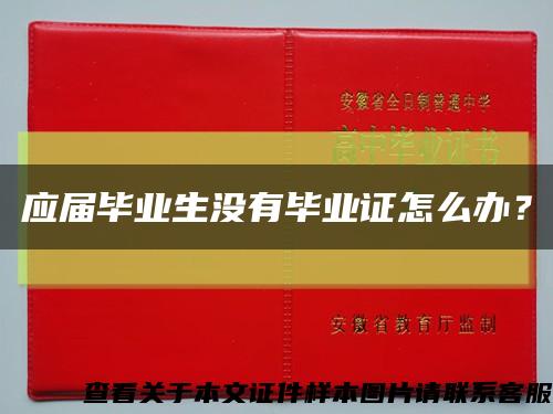 应届毕业生没有毕业证怎么办？缩略图