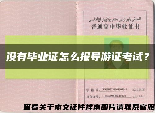 没有毕业证怎么报导游证考试？缩略图