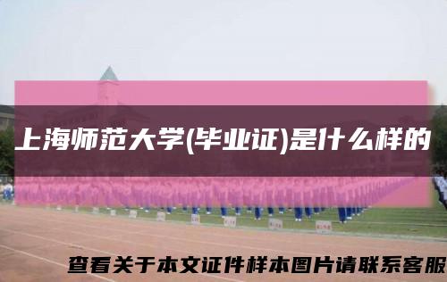 上海师范大学(毕业证)是什么样的缩略图
