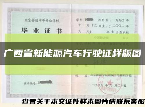 广西省新能源汽车行驶证样版图缩略图