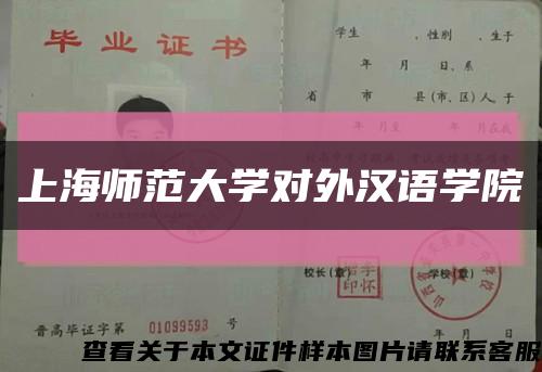上海师范大学对外汉语学院缩略图