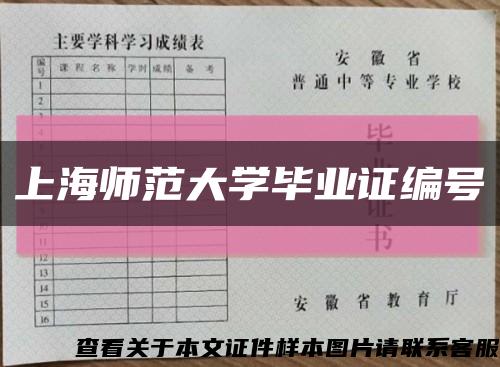 上海师范大学毕业证编号缩略图