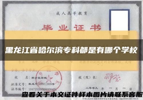 黑龙江省哈尔滨专科都是有哪个学校缩略图