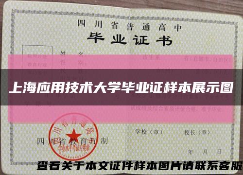 上海应用技术大学毕业证样本展示图缩略图
