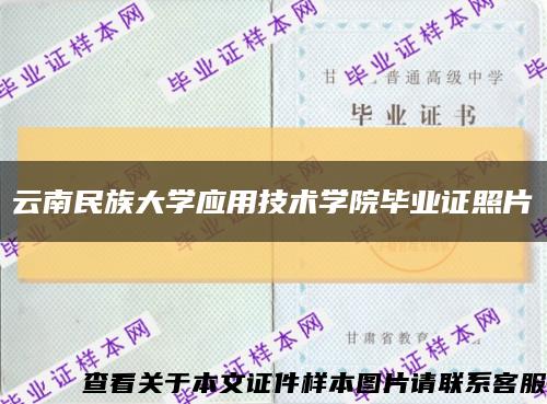 云南民族大学应用技术学院毕业证照片缩略图