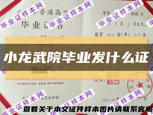 小龙武院毕业发什么证缩略图