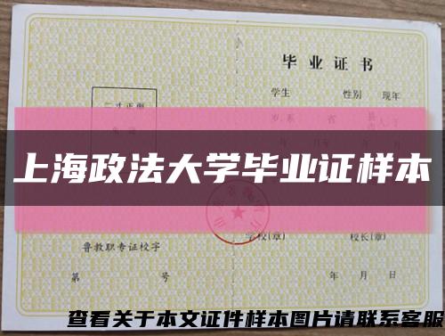 上海政法大学毕业证样本缩略图