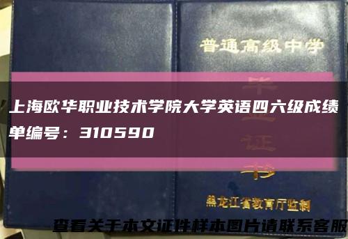 上海欧华职业技术学院大学英语四六级成绩单编号：310590缩略图