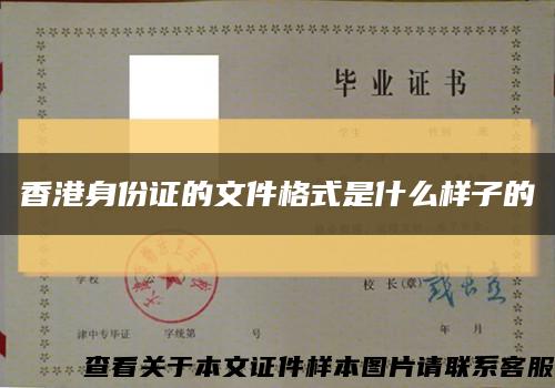 香港身份证的文件格式是什么样子的缩略图