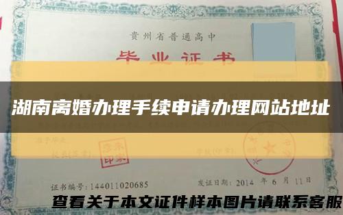 湖南离婚办理手续申请办理网站地址缩略图