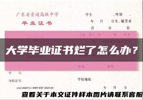 大学毕业证书烂了怎么办？缩略图