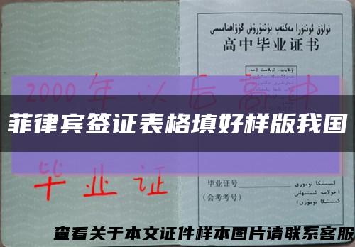 菲律宾签证表格填好样版我国缩略图