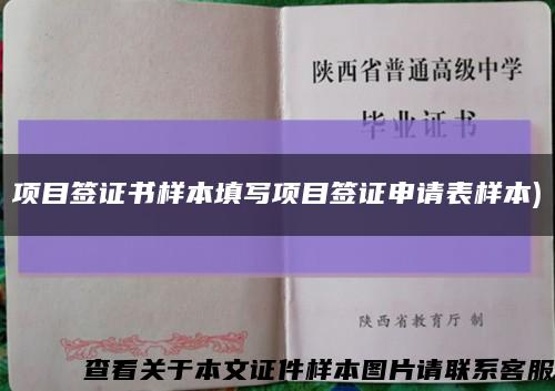 项目签证书样本填写项目签证申请表样本)缩略图