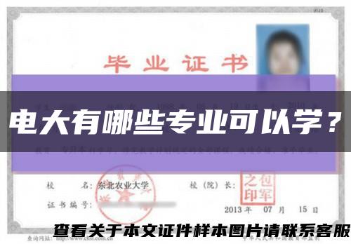 电大有哪些专业可以学？缩略图