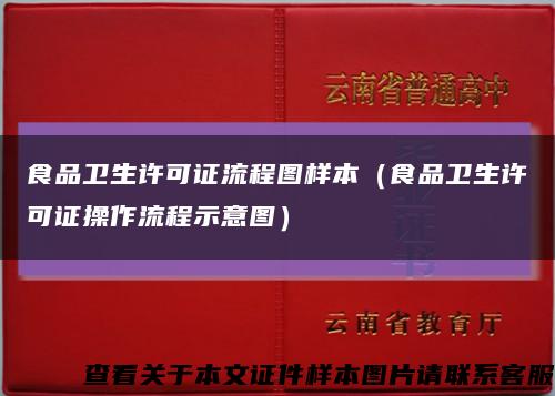 食品卫生许可证流程图样本（食品卫生许可证操作流程示意图）缩略图