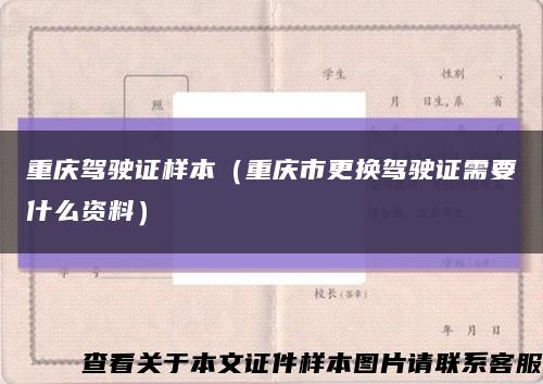 重庆驾驶证样本（重庆市更换驾驶证需要什么资料）缩略图