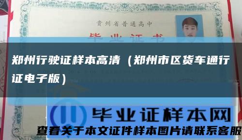 郑州行驶证样本高清（郑州市区货车通行证电子版）缩略图