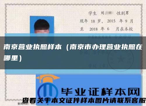 南京营业执照样本（南京市办理营业执照在哪里）缩略图