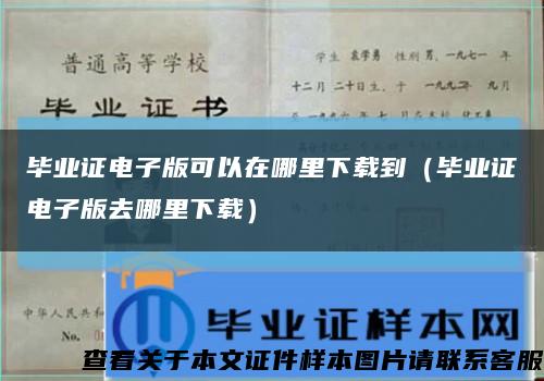 毕业证电子版可以在哪里下载到（毕业证电子版去哪里下载）缩略图