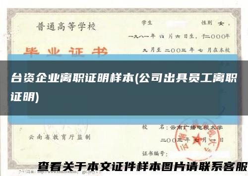 台资企业离职证明样本(公司出具员工离职证明)缩略图