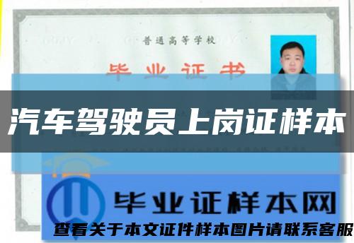 汽车驾驶员上岗证样本缩略图