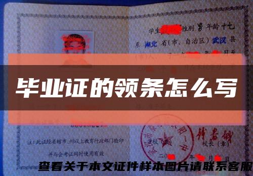 毕业证的领条怎么写缩略图