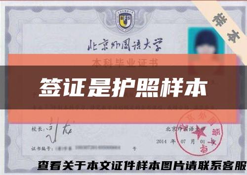 签证是护照样本缩略图