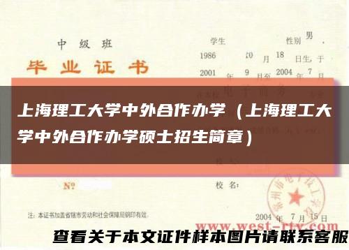 上海理工大学中外合作办学（上海理工大学中外合作办学硕士招生简章）缩略图