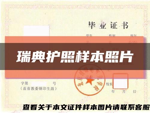 瑞典护照样本照片缩略图