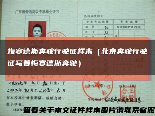 梅赛德斯奔驰行驶证样本（北京奔驰行驶证写着梅赛德斯奔驰）缩略图