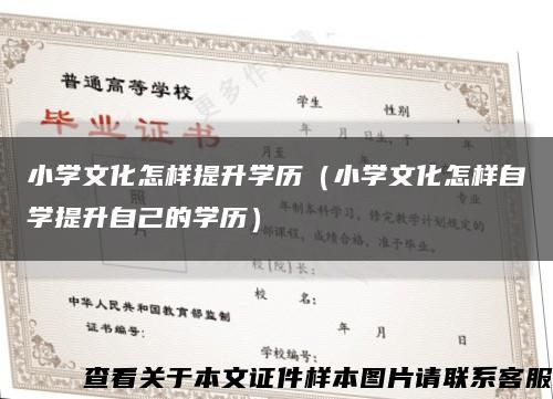 小学文化怎样提升学历（小学文化怎样自学提升自己的学历）缩略图
