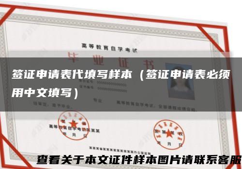 签证申请表代填写样本（签证申请表必须用中文填写）缩略图