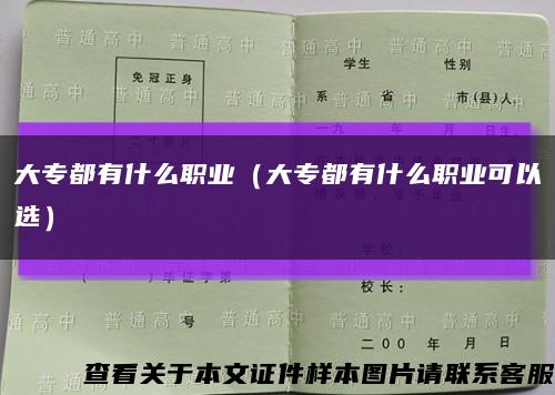 大专都有什么职业（大专都有什么职业可以选）缩略图