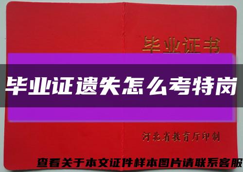 毕业证遗失怎么考特岗缩略图