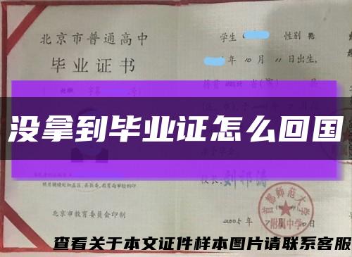 没拿到毕业证怎么回国缩略图