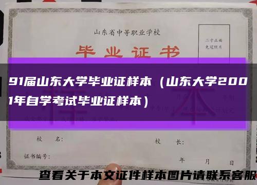 91届山东大学毕业证样本（山东大学2001年自学考试毕业证样本）缩略图