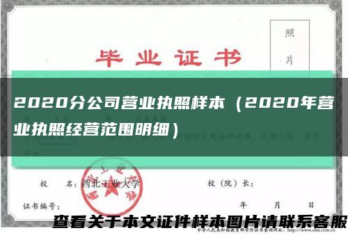 2020分公司营业执照样本（2020年营业执照经营范围明细）缩略图
