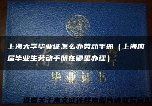 上海大学毕业证怎么办劳动手册（上海应届毕业生劳动手册在哪里办理）缩略图