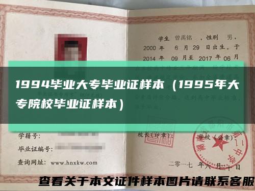 1994毕业大专毕业证样本（1995年大专院校毕业证样本）缩略图