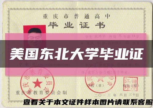 美国东北大学毕业证缩略图