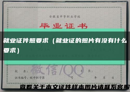 就业证件照要求（就业证的照片有没有什么要求）缩略图