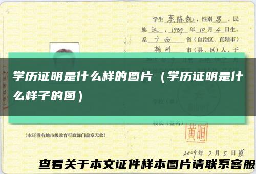 学历证明是什么样的图片（学历证明是什么样子的图）缩略图