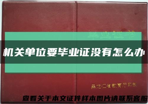 机关单位要毕业证没有怎么办缩略图